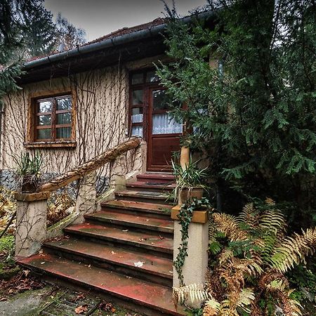 Boroka Apartmanhazak - Oereghaz Velem Cameră foto