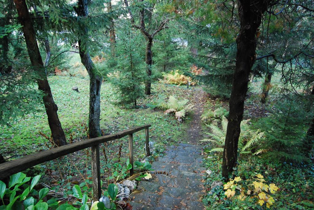 Boroka Apartmanhazak - Oereghaz Velem Cameră foto