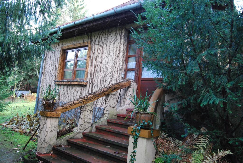 Boroka Apartmanhazak - Oereghaz Velem Cameră foto