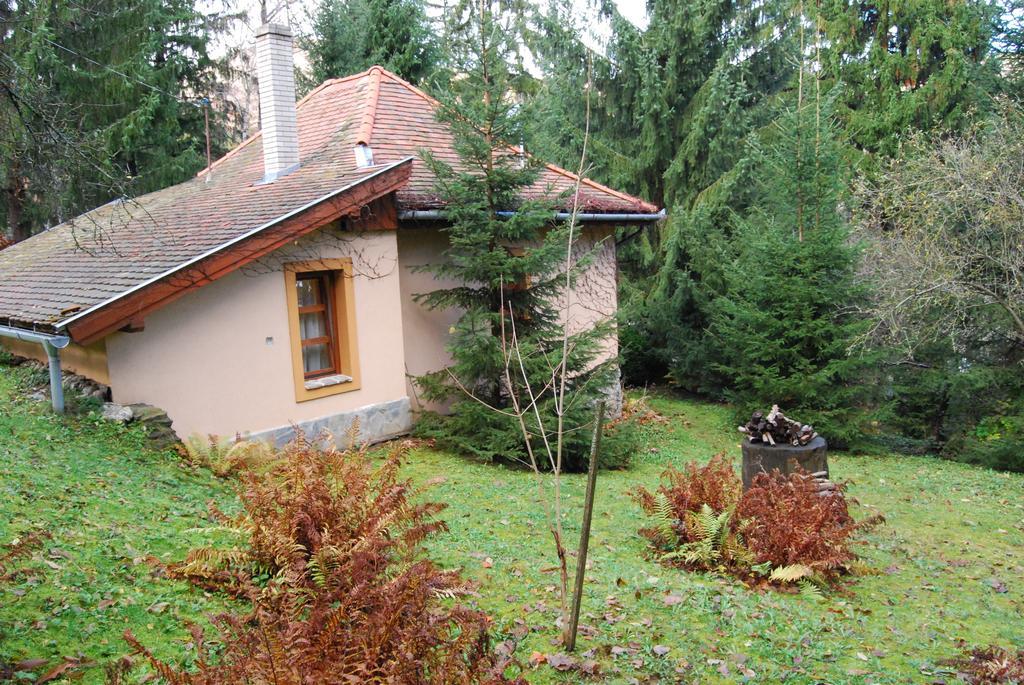 Boroka Apartmanhazak - Oereghaz Velem Cameră foto